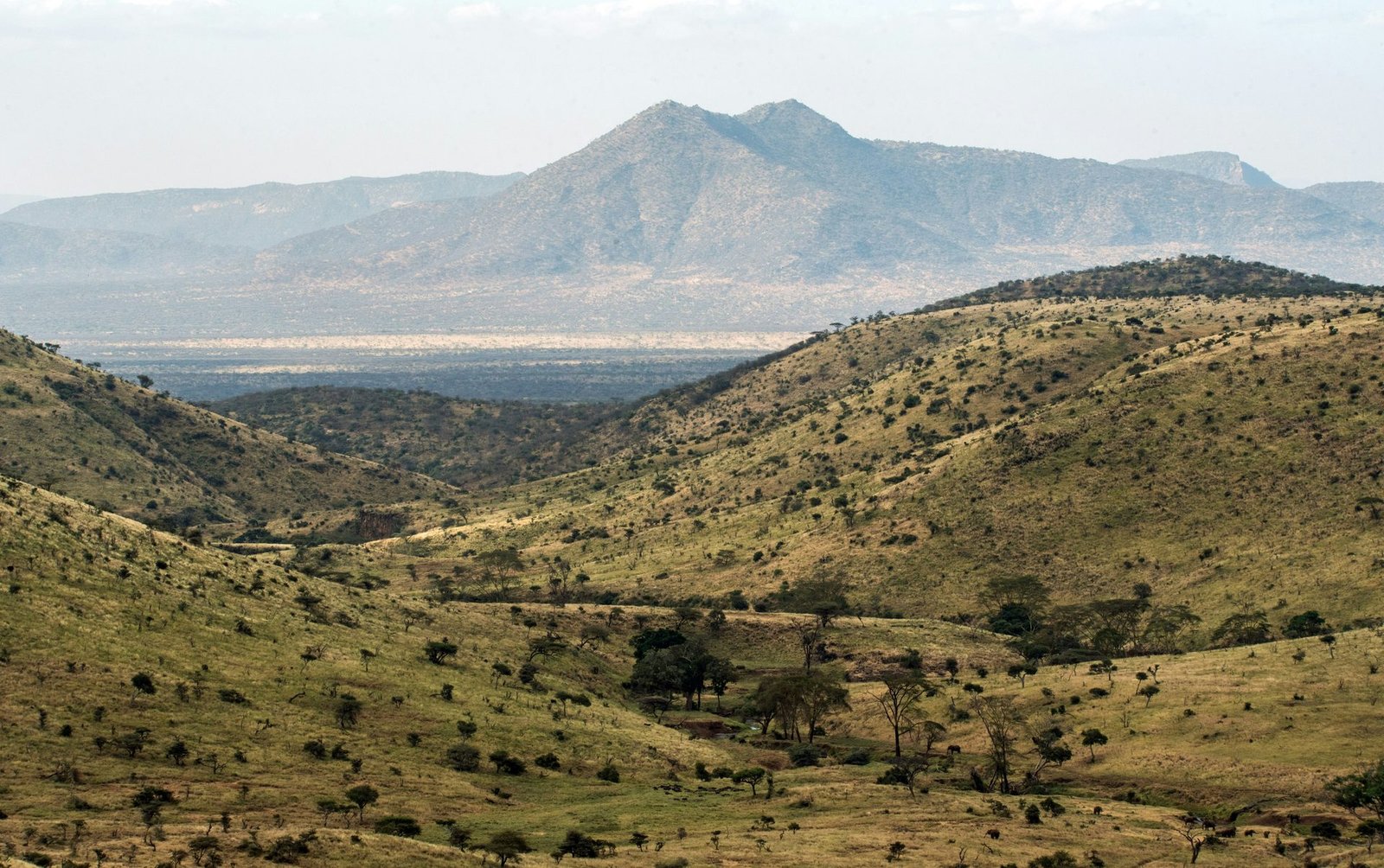 East African highlands